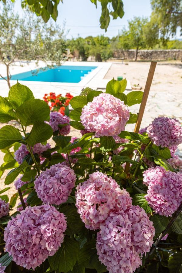 Marcelovi Dvori Bed & Breakfast Pirovac Bagian luar foto
